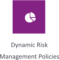 Dynamic Risk Management Policies